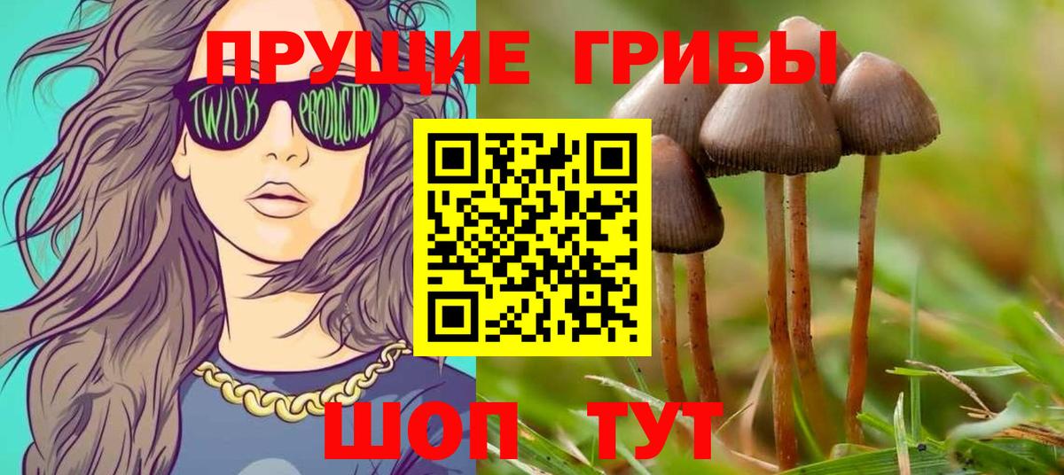 Галлюциногенные грибы GOLDEN TEACHER Ижевск