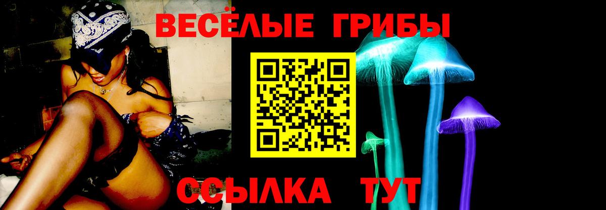 купить   Вход с VPN  Ижевск  Псилоцибиновые грибы Cubensis 